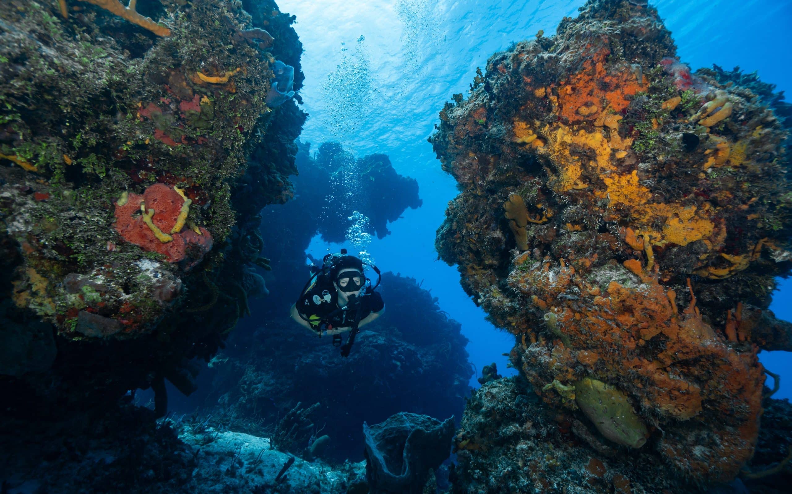 Lee más sobre el artículo Buceo y yoga: la combinación perfecta cuerpo y mente