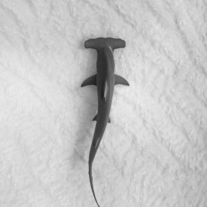 michael-worden-ev_Hk-10Km0-unsplash