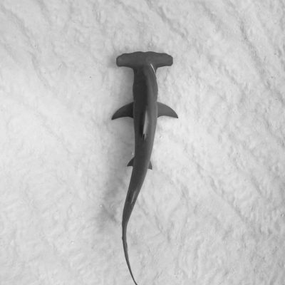 michael-worden-ev_Hk-10Km0-unsplash