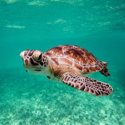 pexels-roodzn-12026138